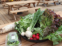 自然の中でいただくオーガニック野菜は心も体もきれいにしてくれます。
