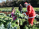 サンタに扮したスタッフが！畑を舞台に季節のイベントも盛り上がります。