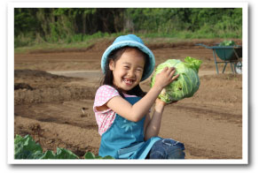 当ファームの有機農法への想い