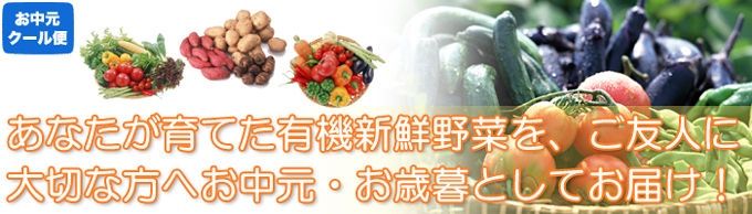 野菜のギフト