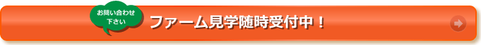 有機農園と契約し、土とふれあい、人とふれあうことによる人間成長を目指します。ＪＡＳ認定市民農園、千葉県八街にオープン！