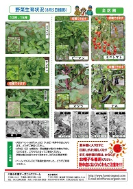 八街ふれ愛オーガニックファーム