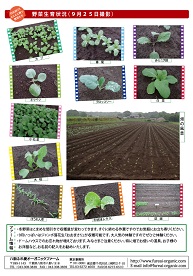 八街ふれ愛オーガニックファーム