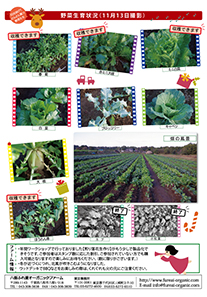 八街ふれ愛オーガニックファーム