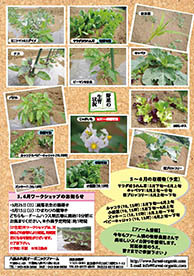 八街ふれ愛オーガニックファーム