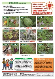 八街ふれ愛オーガニックファーム