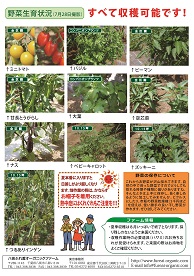 八街ふれ愛オーガニックファーム