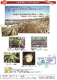 八街ふれ愛オーガニックファーム