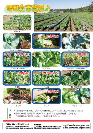 八街ふれ愛オーガニックファーム