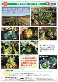 八街ふれ愛オーガニックファーム