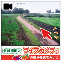 ネットワークカメラ