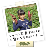 ファーム写真アルバム