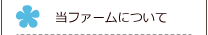 当ファームについて